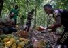 Why COCOBOD Uses Forward Sales (And Why Farmers Question It) COCOBOD forward sales model explained in Ghana cocoa pricing system